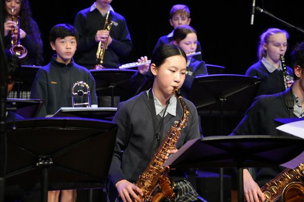 Autumn Instrumental Evening 2026 Banner Photo
