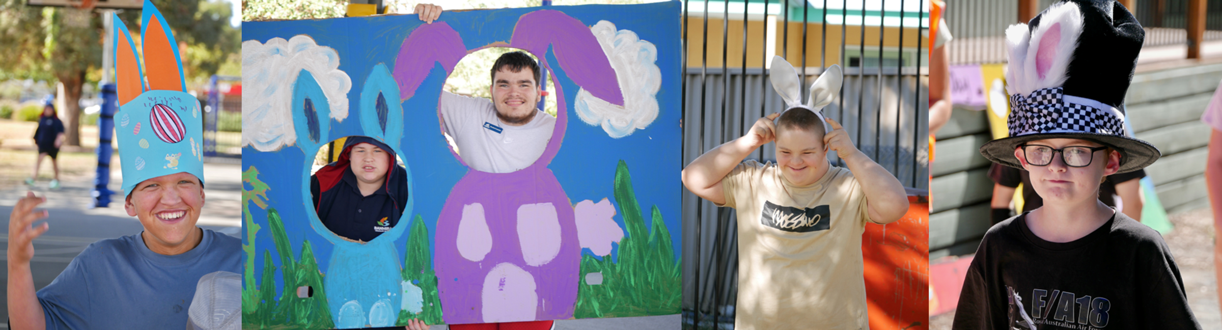 Banner Photo