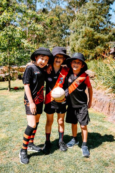 SUN-SMART Banner Photo