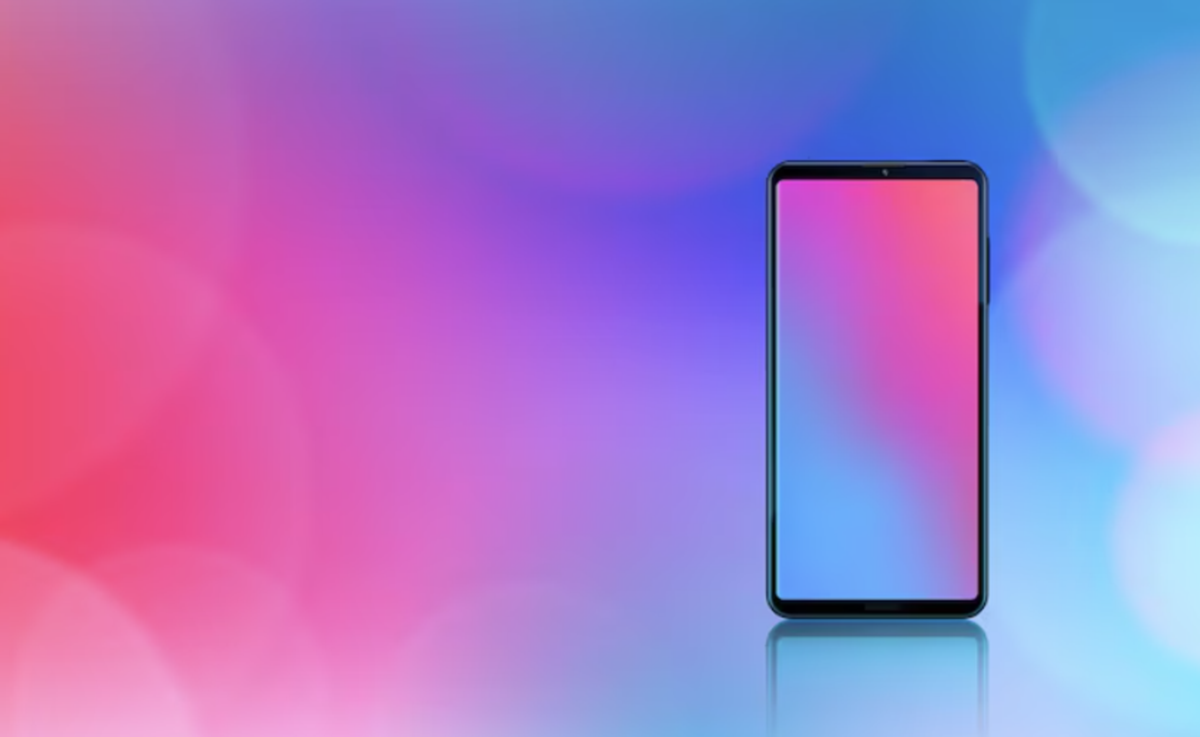 Banner Photo