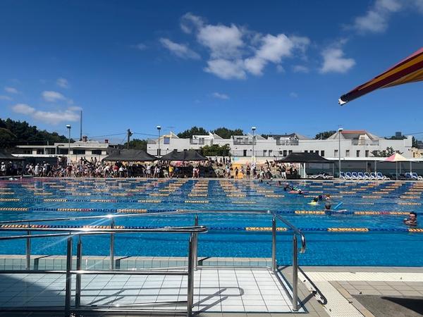 Swimming Carnival Banner Photo