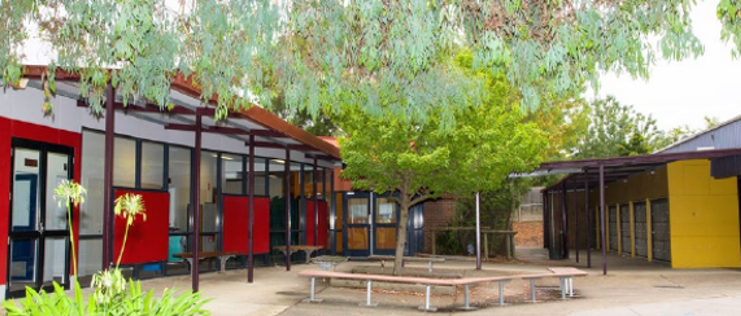 Senior School Handbook Banner Photo