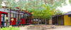 Senior School Handbook Banner Photo