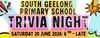 Trivia Night Banner Photo
