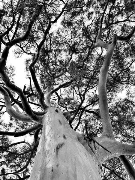 Year 4 Spotlight on Learning Banner Photo