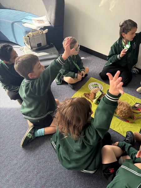 Canine Comprehension Banner Photo