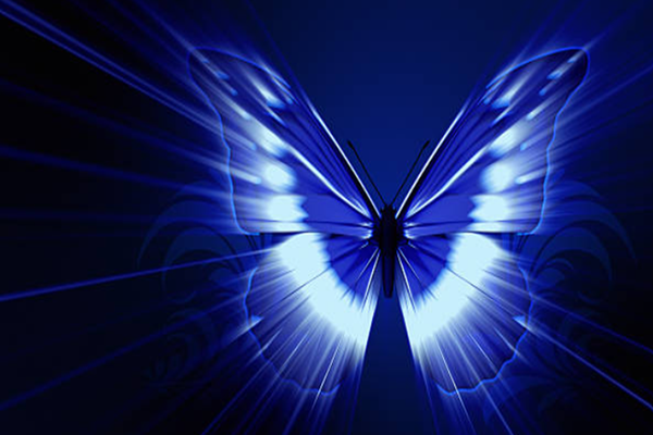 The Butterfly Effect Banner Photo