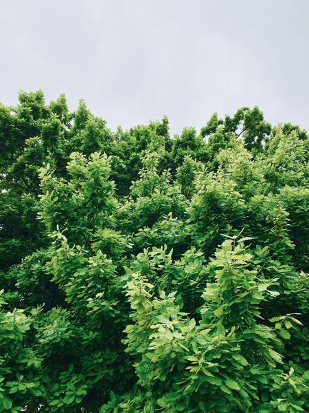 Level 5 & 6  Banner Photo