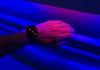 Year 9/10 STEM: Imagining the Future Banner Photo