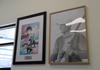 Art Acquisition Spotlight Banner Photo