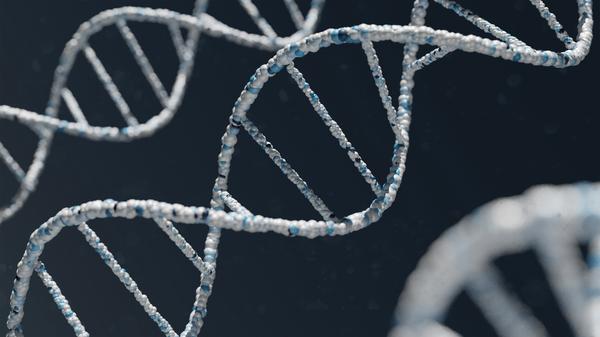  Stage 5 Science Banner Photo