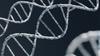  Stage 5 Science Banner Photo