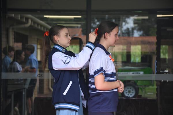 Senior School Banner Photo