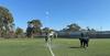Science Week Banner Photo