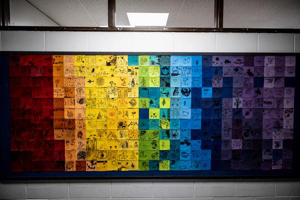 Executive Principal's Report Banner Photo