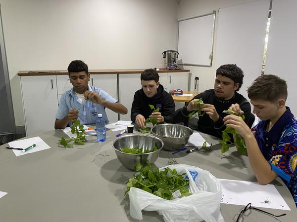 NATIVE FOOD AND CULTURE PROGRAM Banner Photo