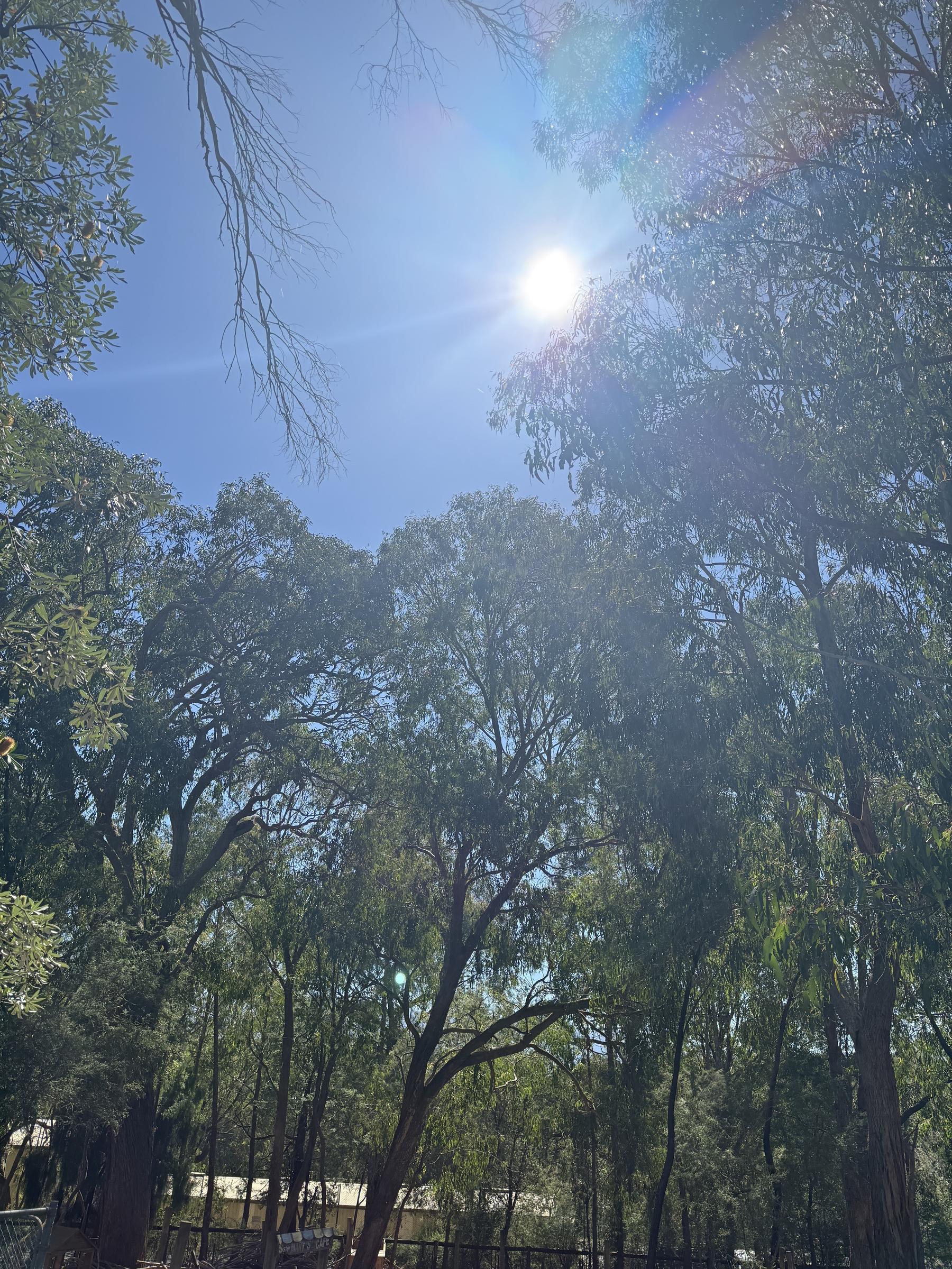 Reflection Banner Photo