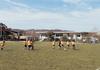 2026 Sport News Banner Photo