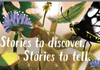 Premier's Reading Challenge Banner Photo