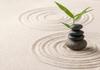 Wellbeing Banner Photo