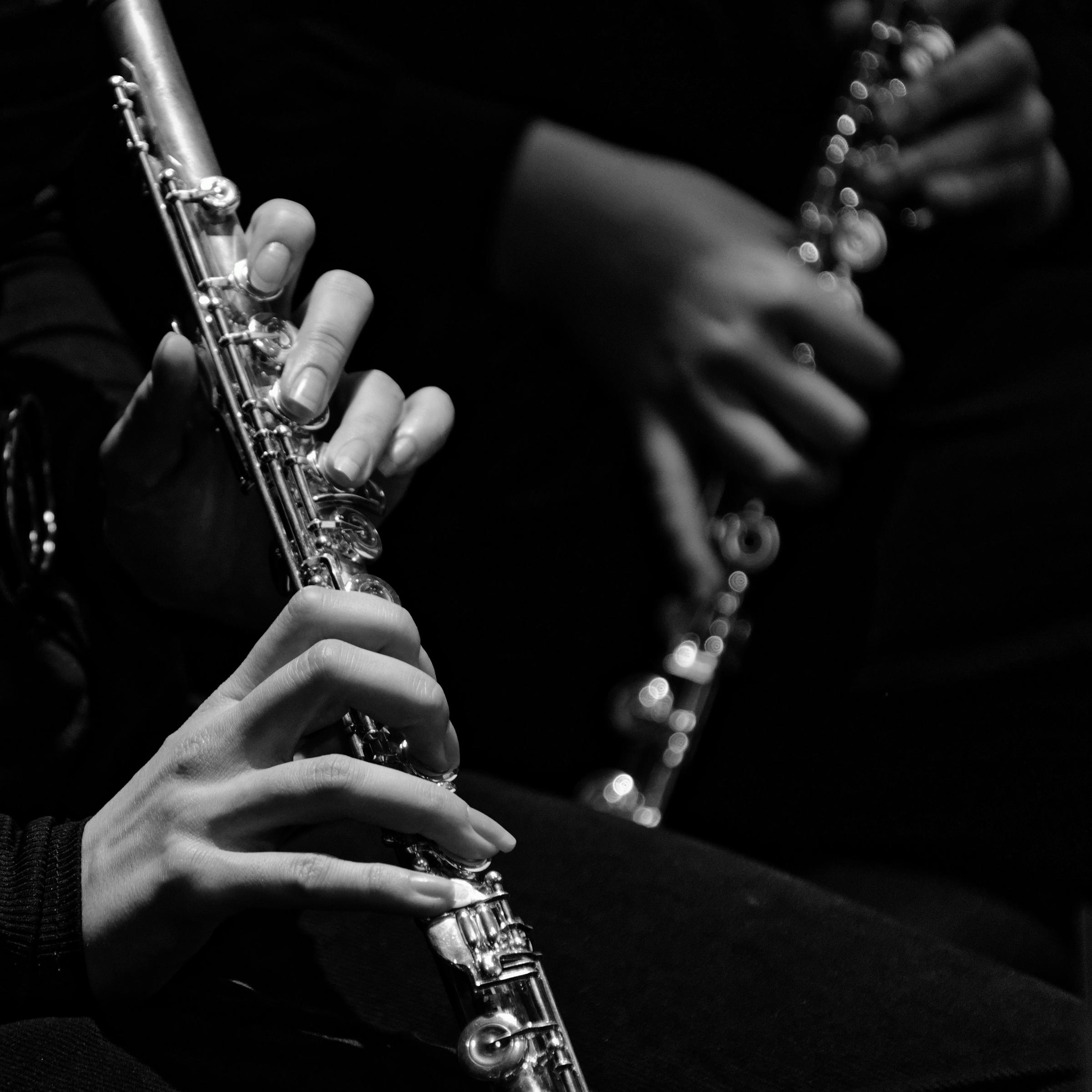 Melbourne Symphony Orchestra - 22 October Banner Photo