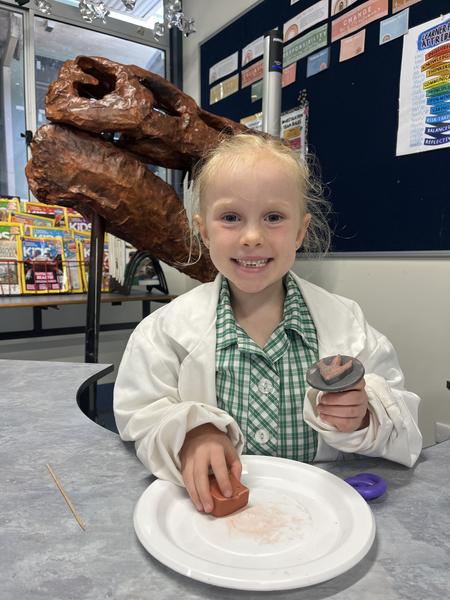 Science - Prep to Year 3, Term 1 Banner Photo