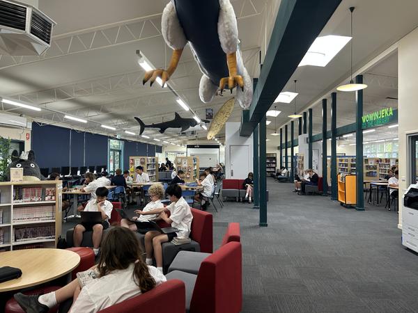 Library  Banner Photo