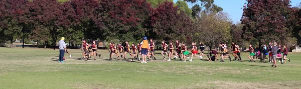 School Athletics Carnival Banner Photo