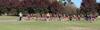 School Athletics Carnival Banner Photo