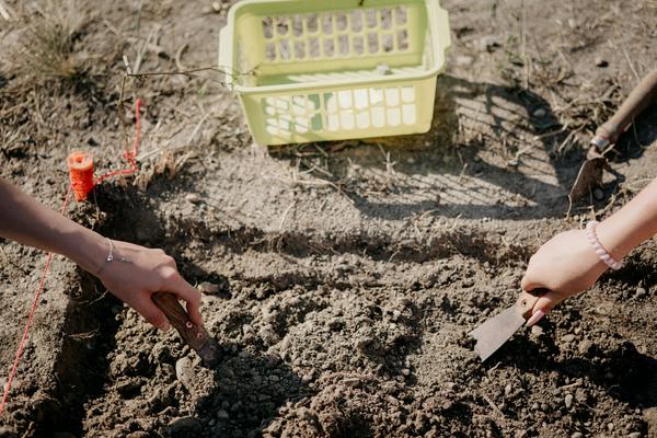Grade 2 Capacity Lesson Banner Photo