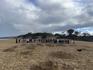Grade 5/6 Camp at Camp Wilkin Banner Photo