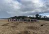 Grade 5/6 Camp at Camp Wilkin Banner Photo