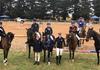 Equestrian Banner Photo