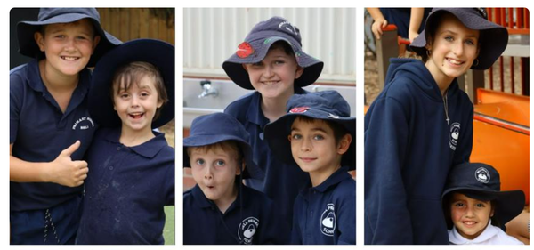 Classroom Insights Banner Photo