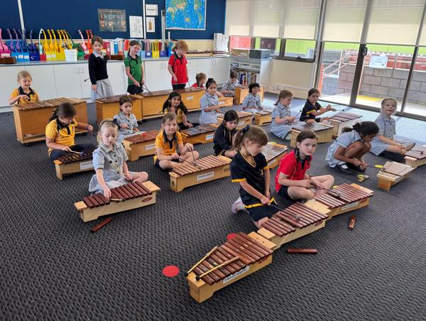 Around the Primary Classrooms Banner Photo