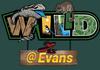 WILD@Evans Banner Photo