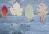Out of Hours School Care Banner Photo