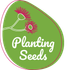 Planting Seeds Incursion Banner Photo