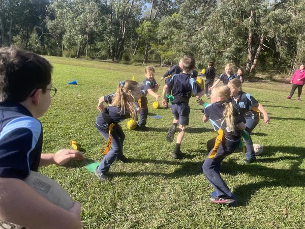 Physical Education Banner Photo