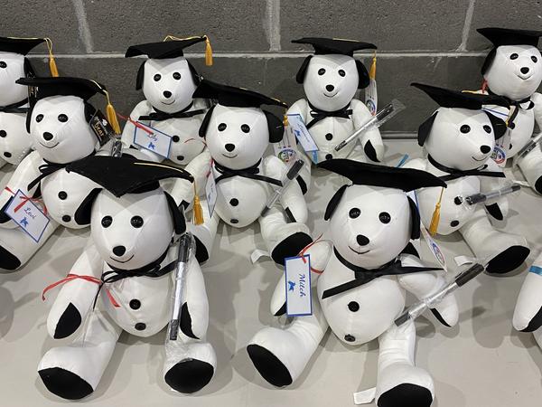 What's On In 5/6 Banner Photo