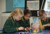 Year Four Newsletter Banner Photo
