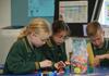 Year Four Newsletter Banner Photo