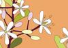 Foundation Community News Banner Photo