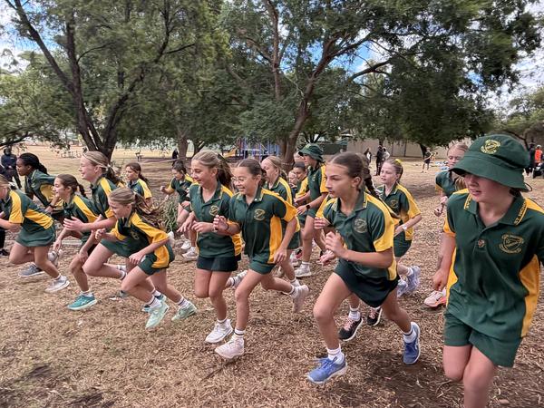 SPORTING NEWS Banner Photo