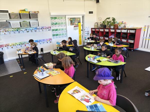 LITERACY Banner Photo