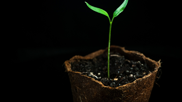 School Events Banner Photo