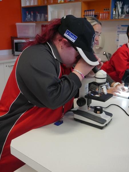 Specialists Secondary 11/12  Term 2 Banner Photo