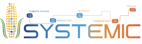 Systemic Knowledge & SEL Banner Photo