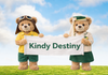 Kindy Destiny Banner Photo