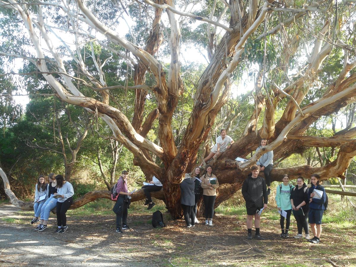 Korumburra Secondary College Community News Issue 7